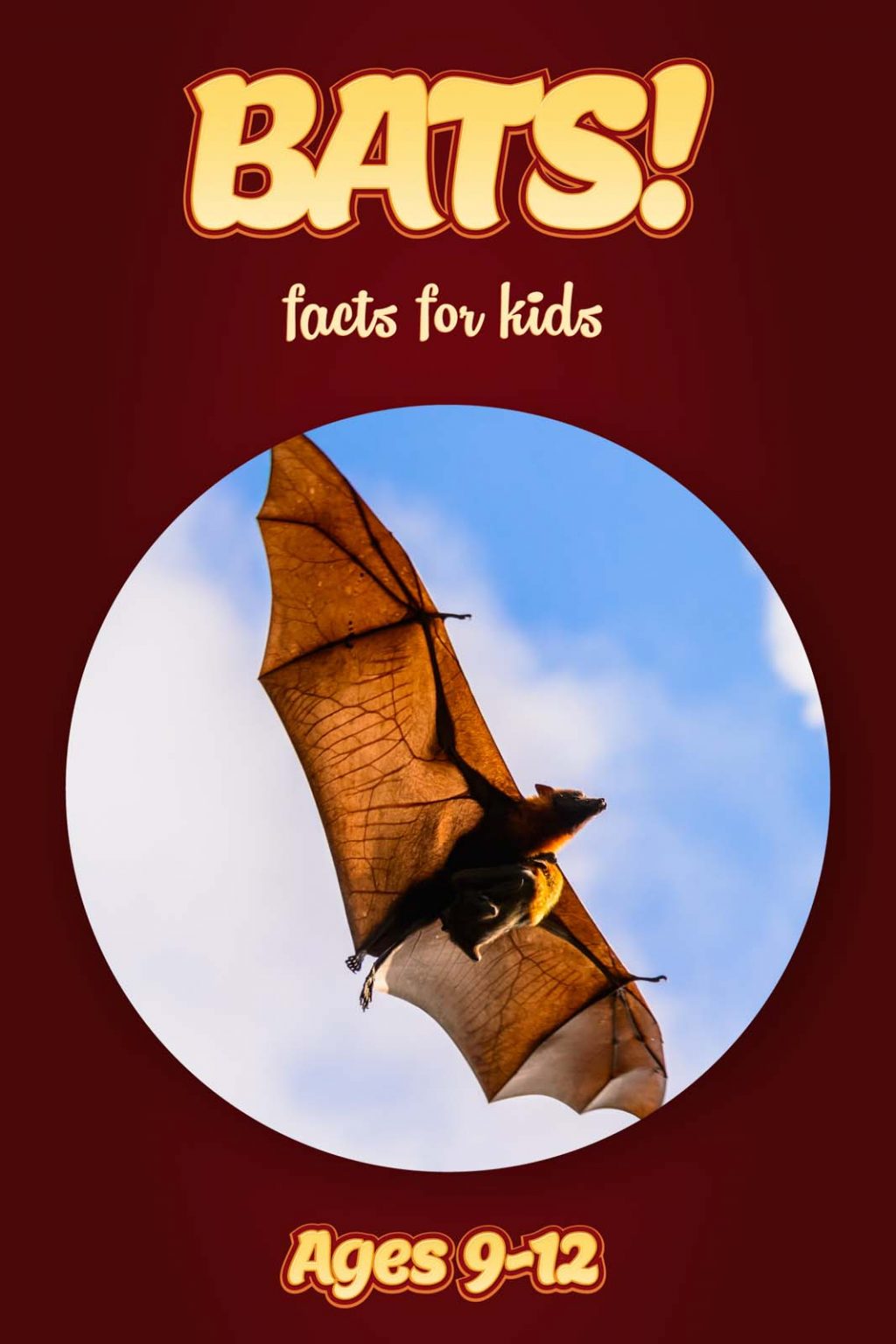 Bat Facts Kids Non Fiction Book Ages 9 12 Clouducated