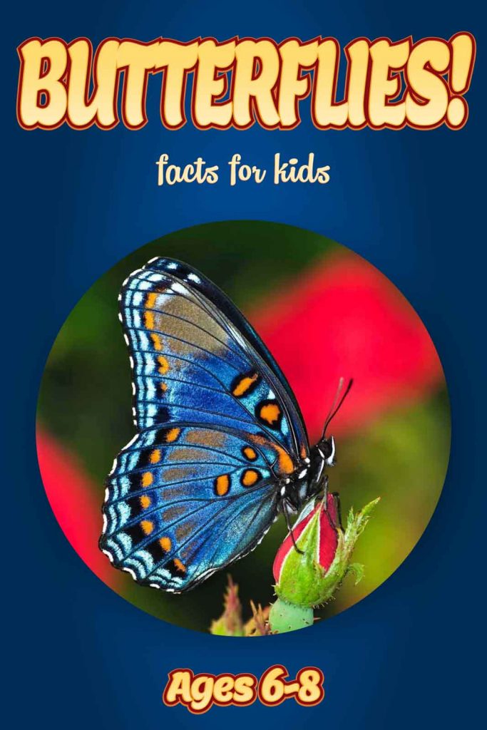 butterfly-facts-kids-non-fiction-ages-6-8-clouducated