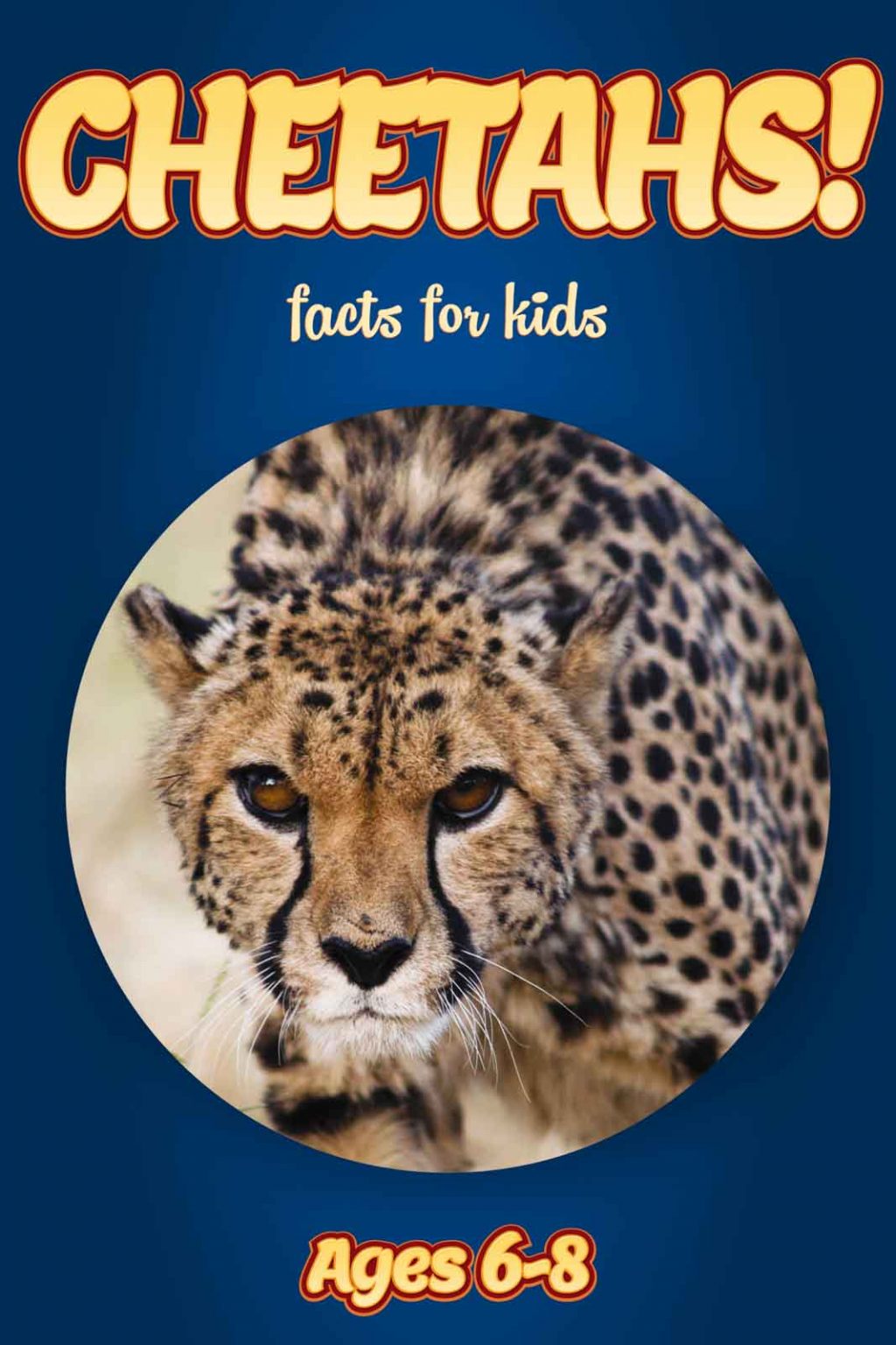 Cheetah Facts – Kids Non Fiction Book (Ages 6-8) – clouducated