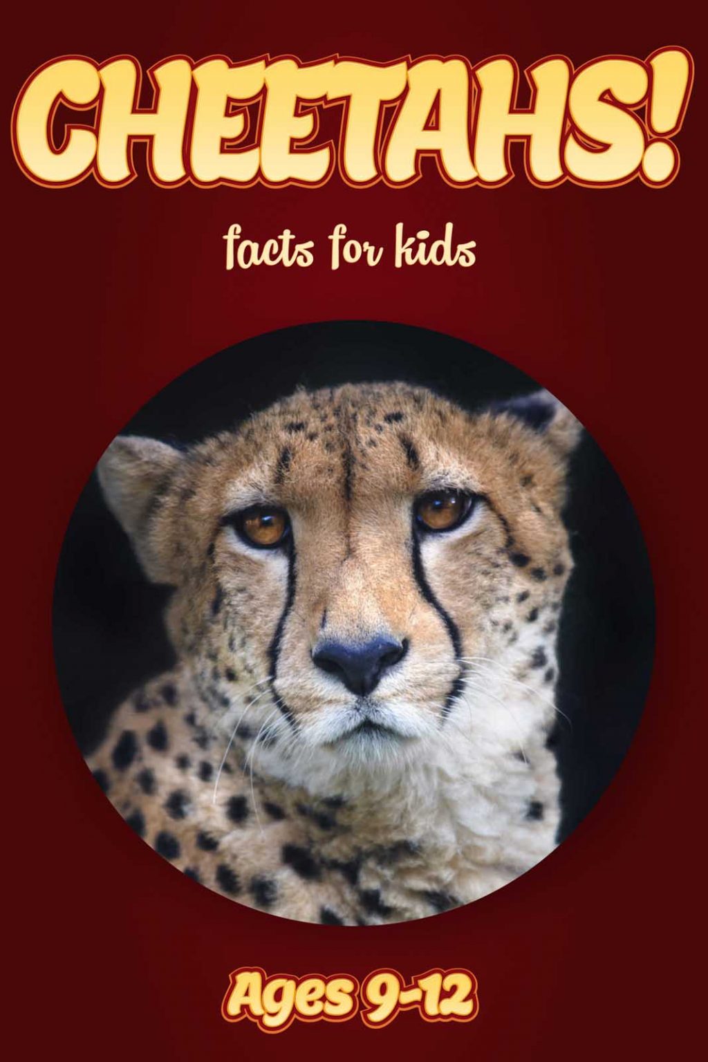 Cheetah Facts – Kids Non Fiction Book (Ages 9-12) – clouducated