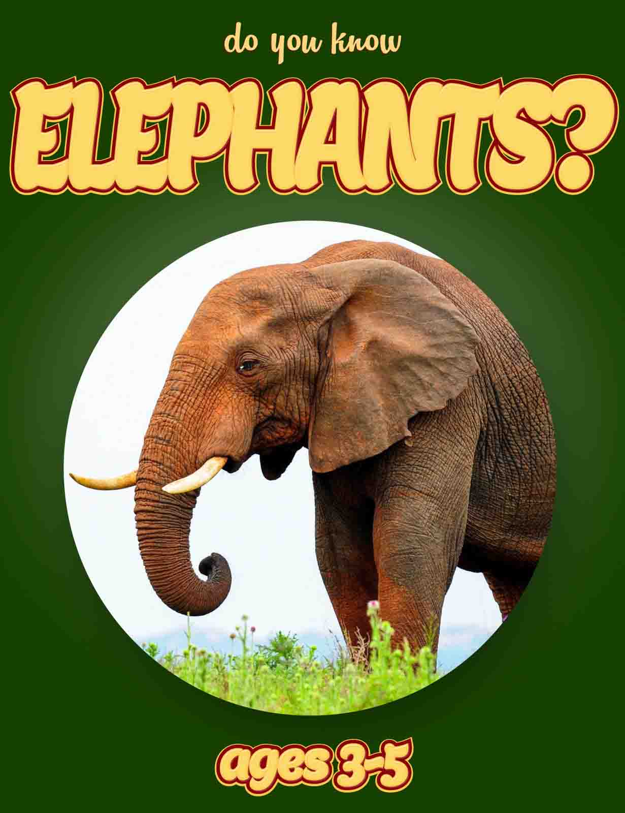 Elephant Facts For Kids Ages 3 5 Do You Know Elephants