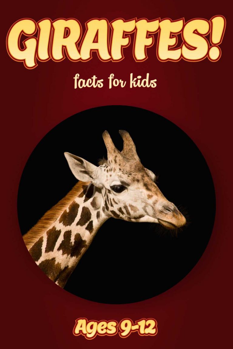 kohls giraffe book