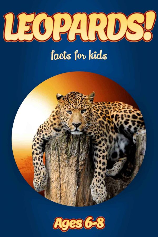 Leopard Facts for Kids - Nonfiction Ages 3-6