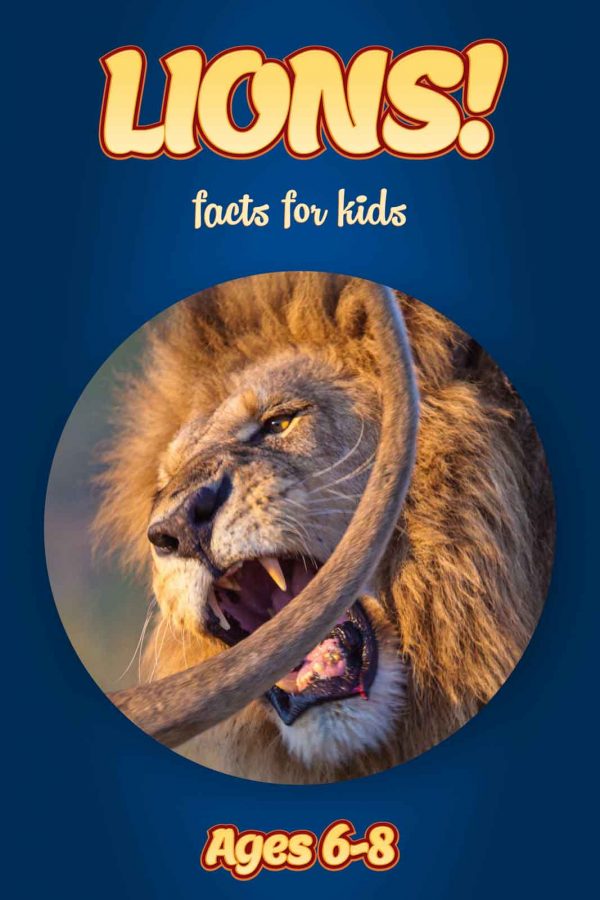 Lion Facts for Kids - Nonfiction Ages 3-6