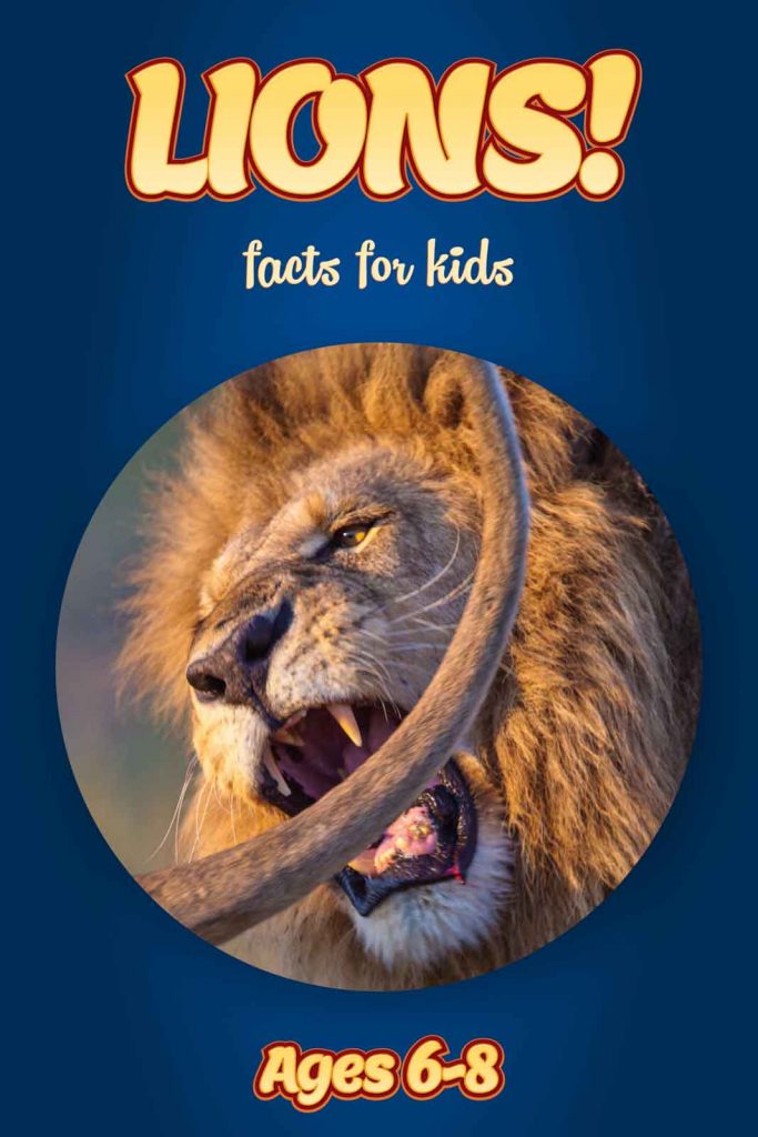 Lion Facts Kids Non Fiction Book (Ages 68) clouducated