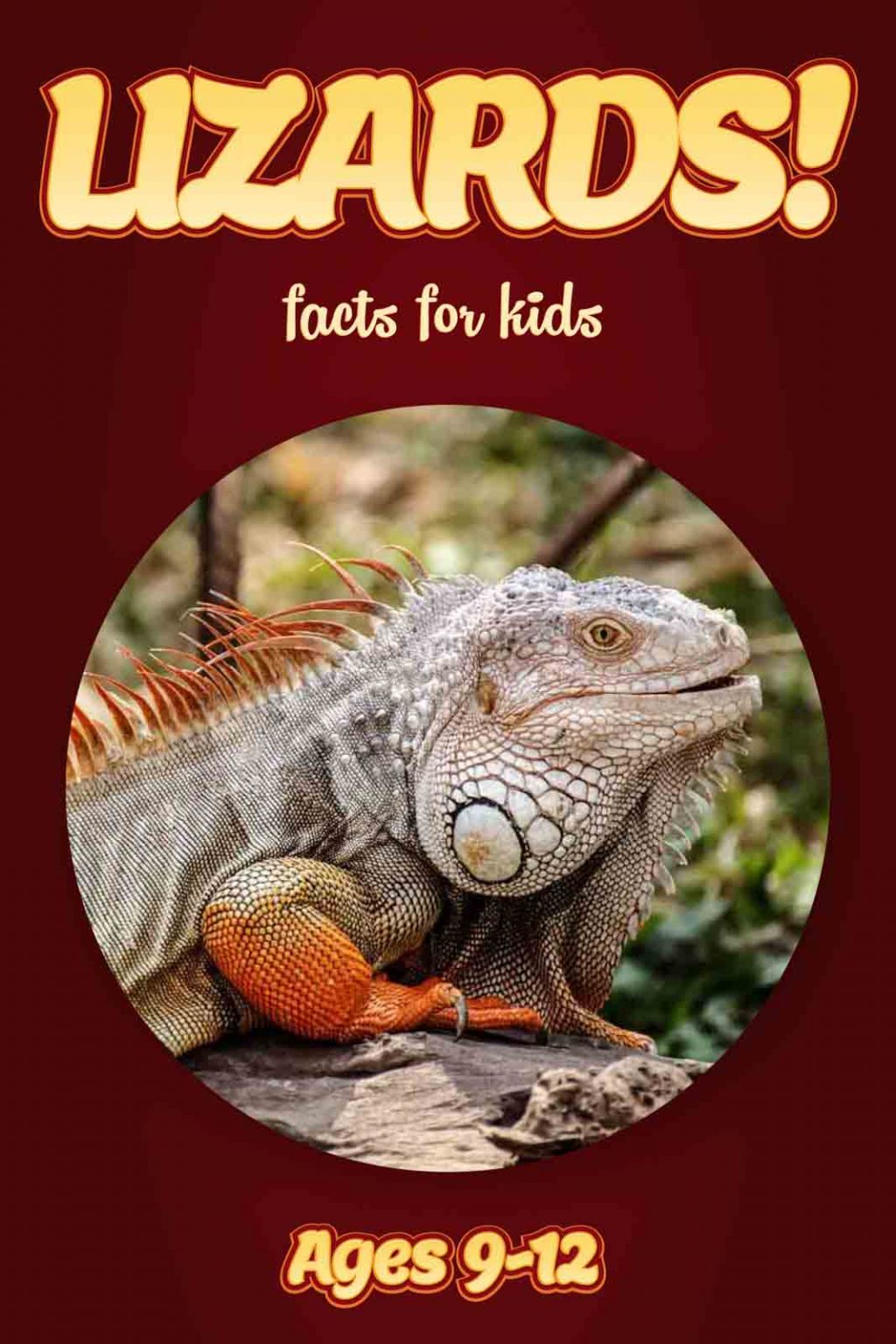 Lizard Facts – Kids Non Fiction Book (Ages 9-12) – clouducated