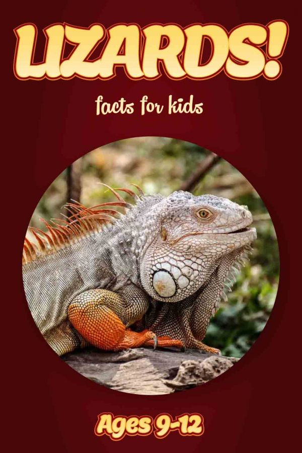 Lizard Facts for Kids - Nonfiction Ages 9-12