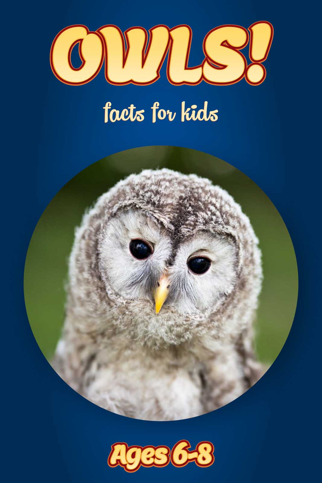 Owl Kids Books Kids Matttroy