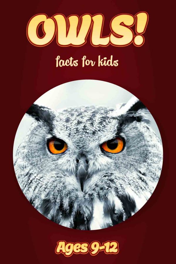 Owl Facts for Kids - Nonfiction Ages 9-12