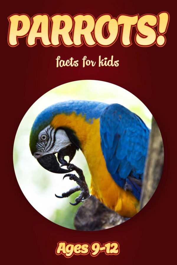 Parrot Facts for Kids - Nonfiction Ages 9-12