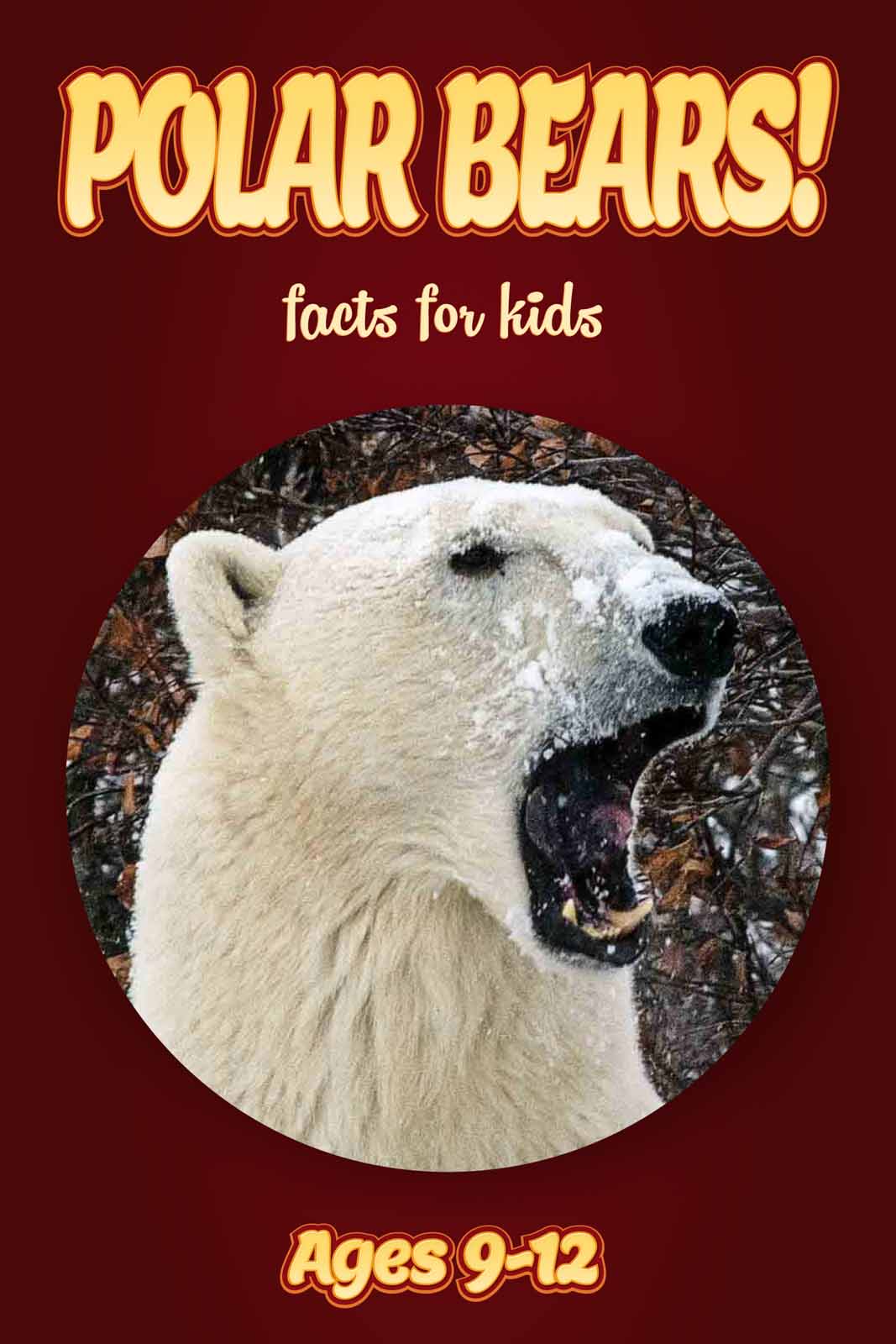 Why do polar bears have white fur? And nine other polar bear facts, Stories