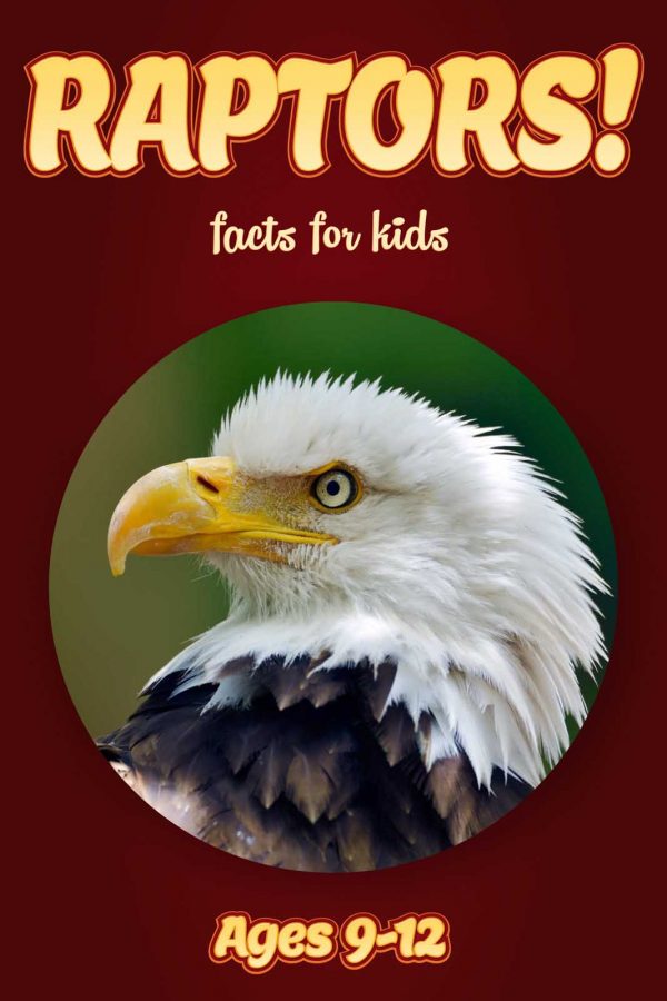 Raptor Facts for Kids - Nonfiction Ages 9-12