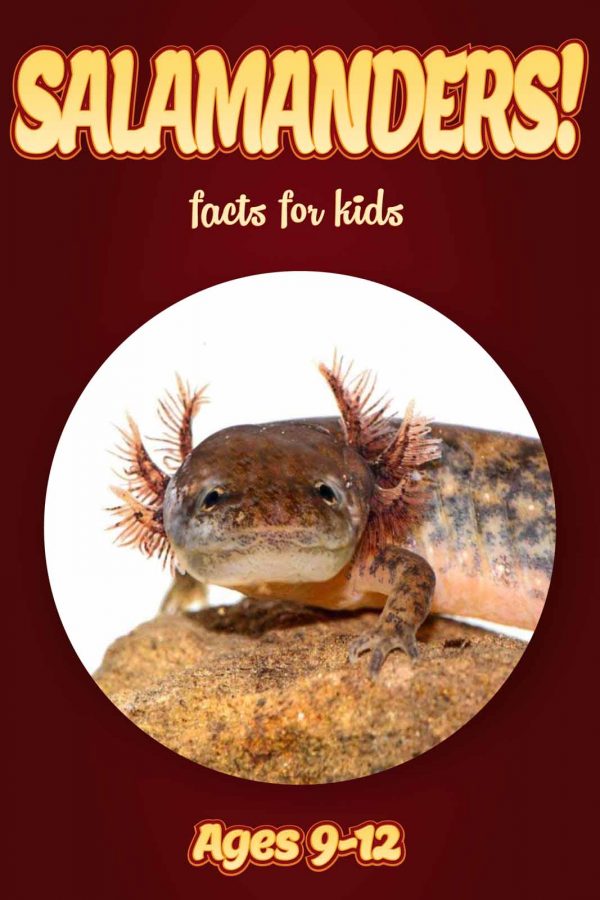 Salamander Facts for Kids - Nonfiction Ages 9-12