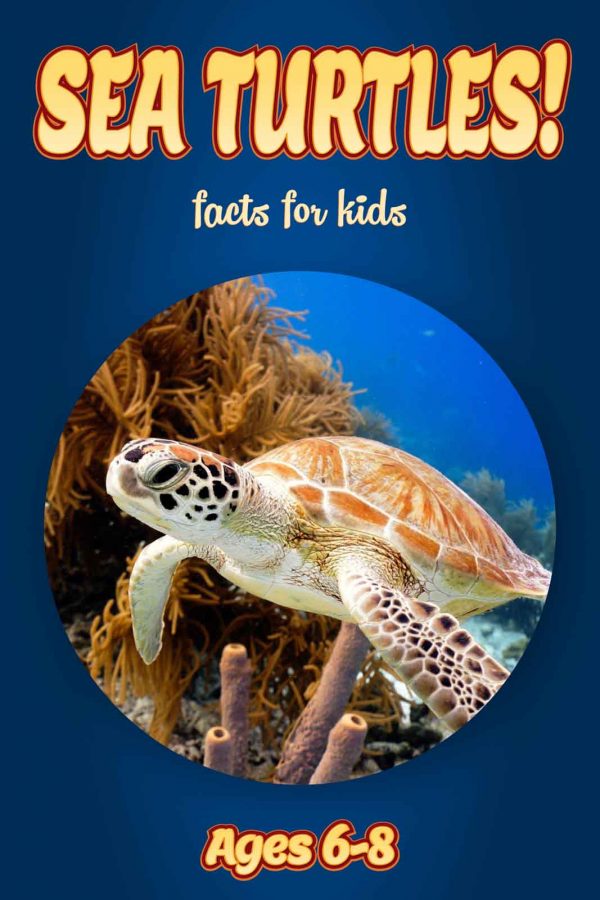 Sea Turtle Facts for Kids - Nonfiction Ages 3-6