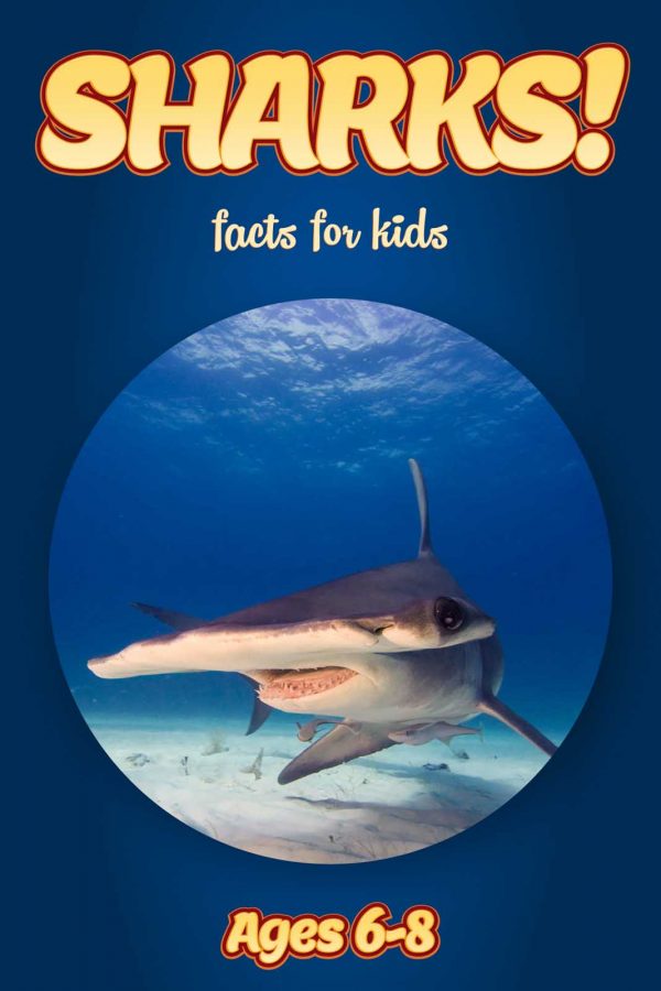Shark Facts for Kids - Nonfiction Ages 3-6