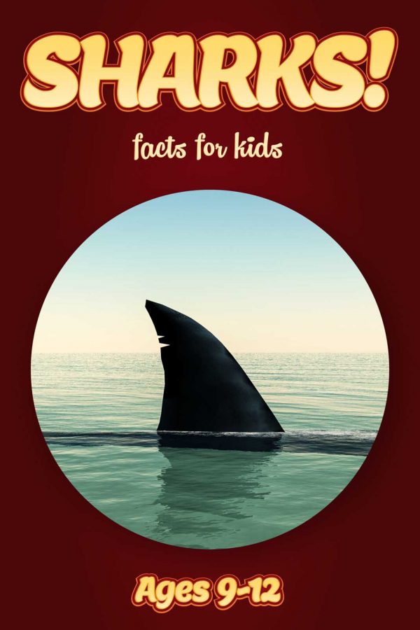 Shark Facts for Kids - Nonfiction Ages 9-12