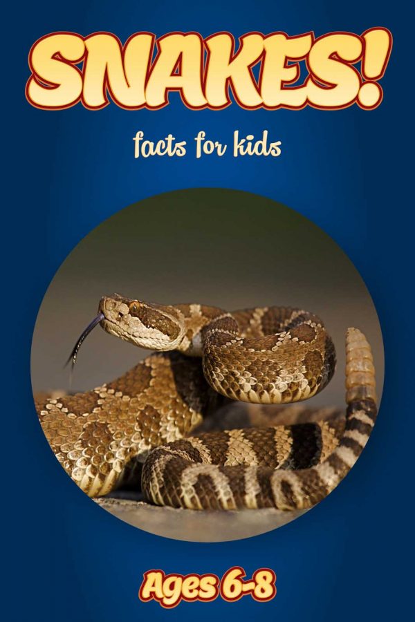Snake Facts for Kids - Nonfiction Ages 3-6