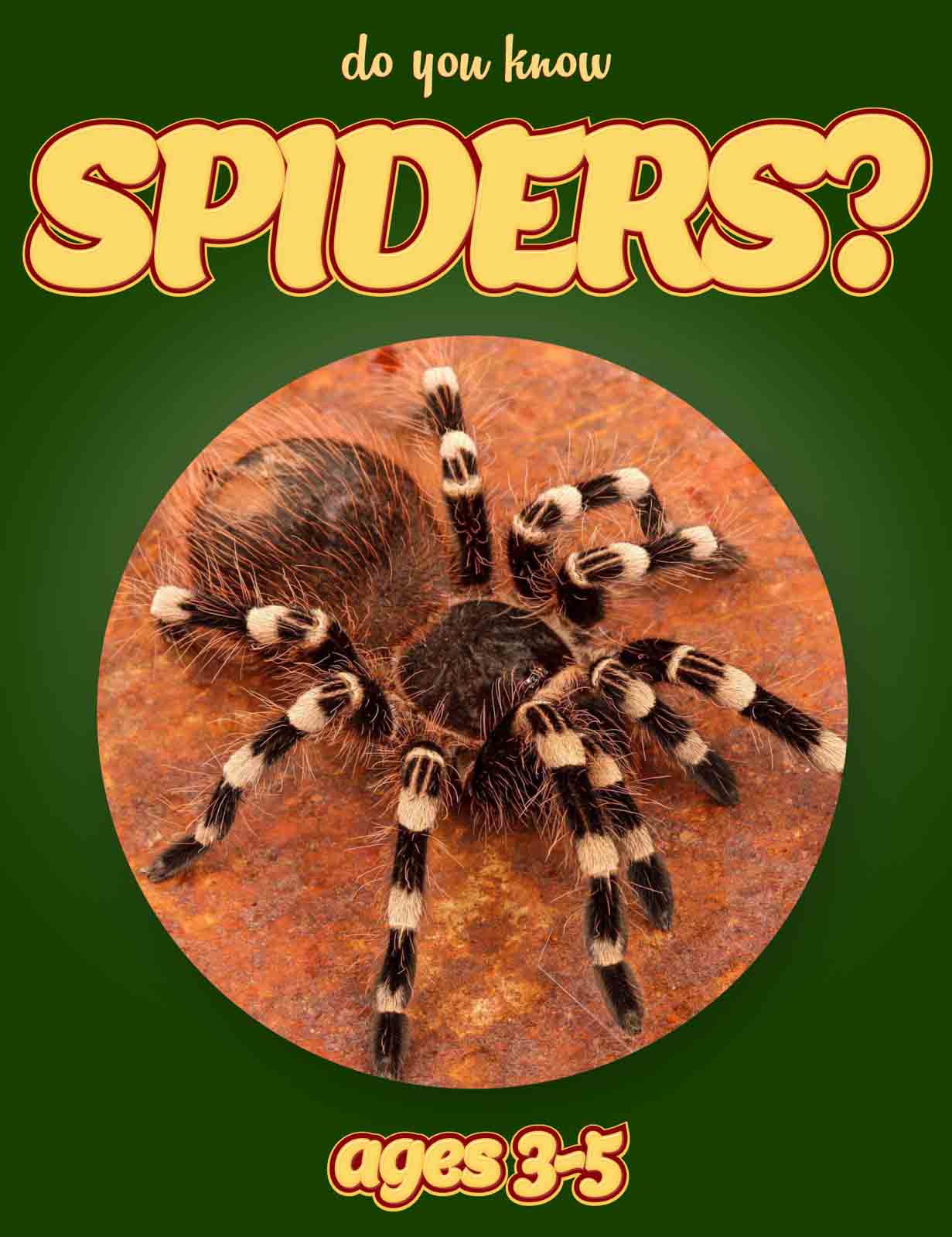 Free Spiders 🕷 Mini-Book! Great - Education to the Core