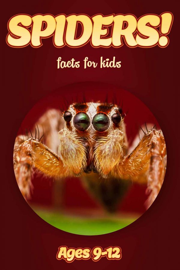 Spider Facts for Kids - Nonfiction Ages 9-12