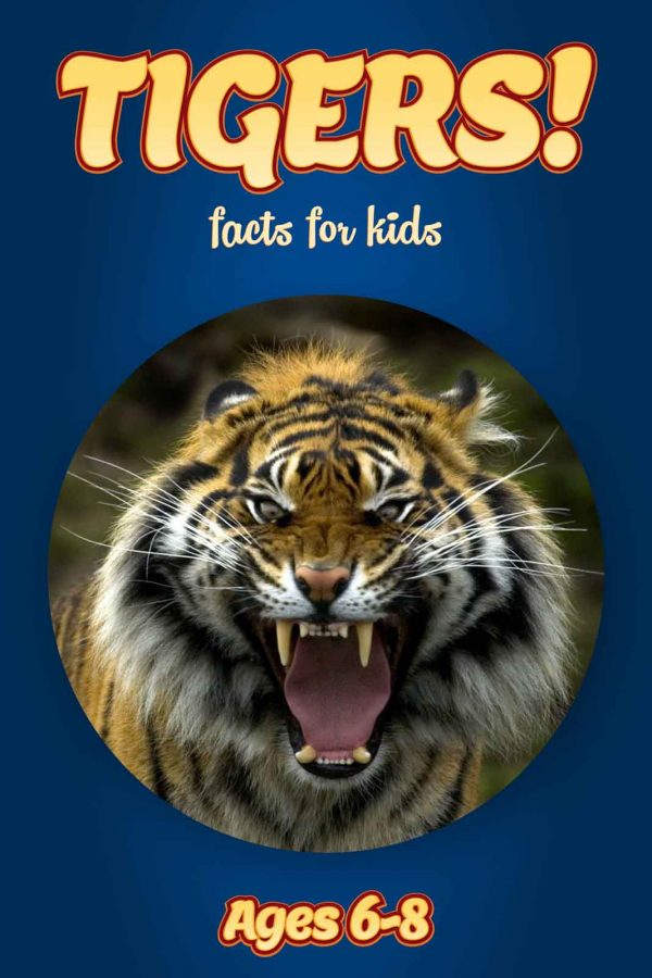 Tiger Facts for Kids - Nonfiction Ages 3-6