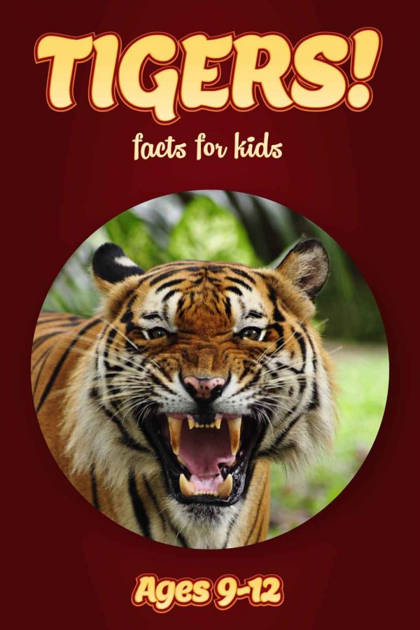 Tiger Facts for Kids - Nonfiction Ages 9-12