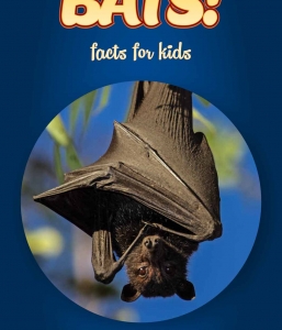 Bat Facts Kids – Non Fiction Book Ages (6-8)