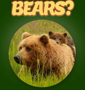 Bear Facts For Kids Ages 3-5 “Do You Know Bears?” Non Fiction Picture Book