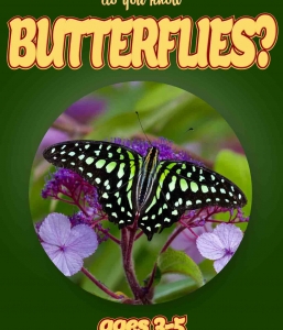 Butterfly Facts For Kids Ages 3-5 “Do You Know Butterflies?” Picture Book