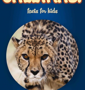 Cheetah Facts – Kids Non Fiction Book (Ages 6-8)