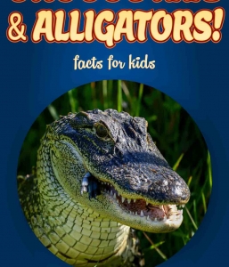 Crocodile Facts – Kids Non Fiction Book (Ages 6-8)