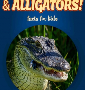 Crocodile Facts – Kids Non Fiction Book (Ages 6-8)