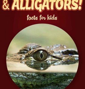 Crocodile Facts – Kids Non Fiction Book (Ages 9-12)