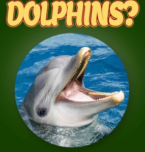 Dolphin Facts For Kids Ages 3-5 “Do You Know Dolphins?” Non Fiction Picture Book