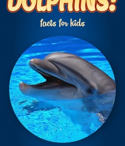 Dolphin Facts – Kids Non Fiction Book (Ages 6-8)