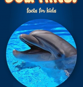 Dolphin Facts – Kids Non Fiction Book (Ages 6-8)