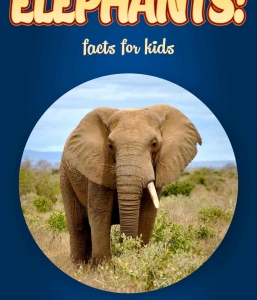 Elephant Facts – Kids Non Fiction Book (Ages 6-8)