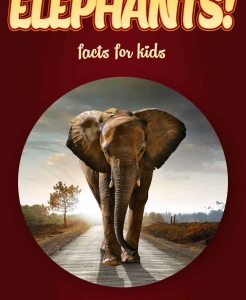 Elephant Facts – Kids Non Fiction Book (Ages 9-12)