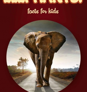 Elephant Facts – Kids Non Fiction Book (Ages 9-12)