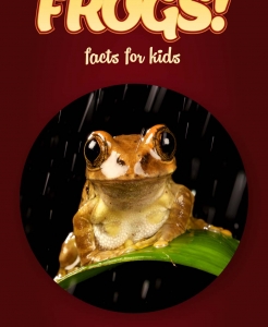 Frog Facts – Kids Non Fiction Book (Ages 9-12)
