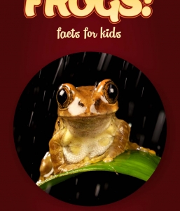 Frog Facts – Kids Non Fiction Book (Ages 9-12)