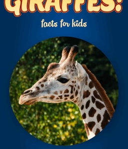 Giraffe Facts – Kids Non Fiction (Ages 6-8)