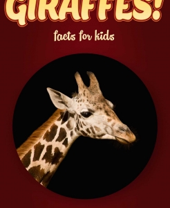 Giraffe Facts – Kids Non Fiction Book (Ages 9-12)