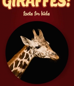 Giraffe Facts – Kids Non Fiction Book (Ages 9-12)