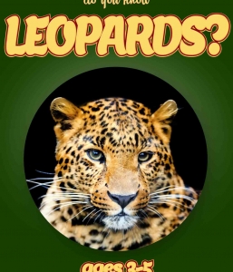 Leopard Facts For Kids Ages 3-5 “Do You Know Leopards?” Non Fiction Picture Book