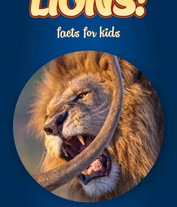 Lion Facts – Kids Non Fiction Book (Ages 6-8)