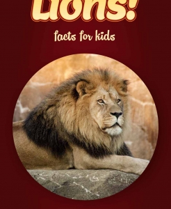Lion Facts – Kids Non Fiction Book (Ages 9-12)