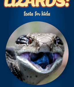 Lizard Facts – Kids Non Fiction (Ages 6-8)