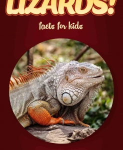 Lizard Facts – Kids Non Fiction Book (Ages 9-12)