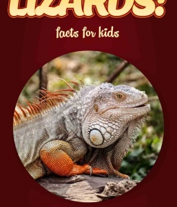 Lizard Facts – Kids Non Fiction Book (Ages 9-12)