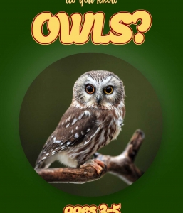 Owl Facts For Kids Ages 3-5 “Do You Know Owls?” Non Fiction Picture Book